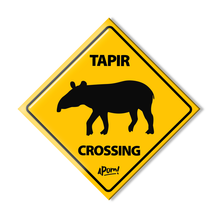 APOM Magnet – Tapir Crossing