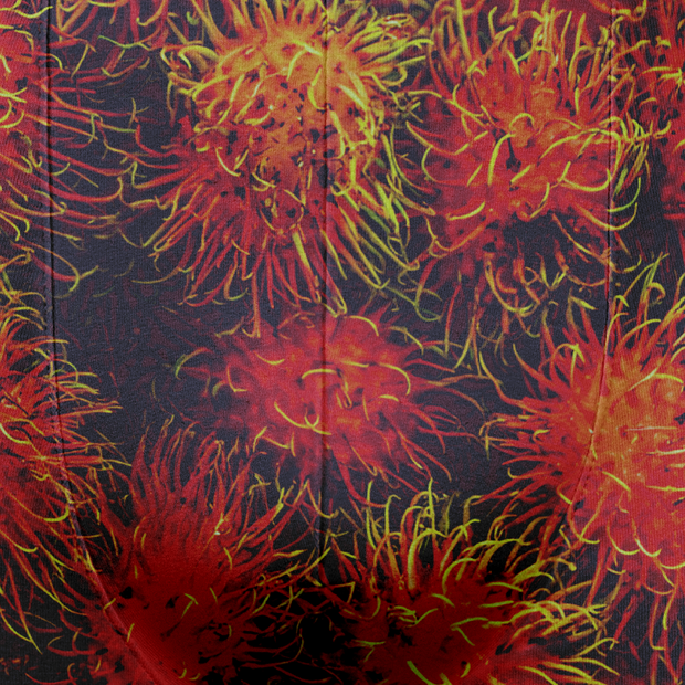 Underwear - Adult - Rambutan
