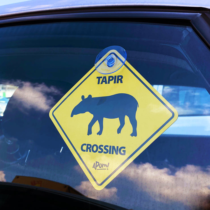 Car Suction - Tapir Crossing